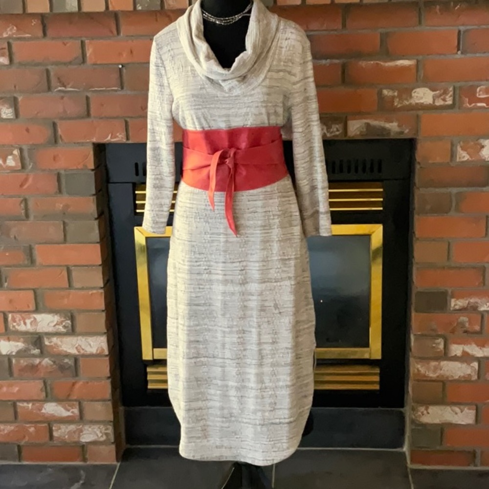 Anthropologie Saturday Sunday dress L